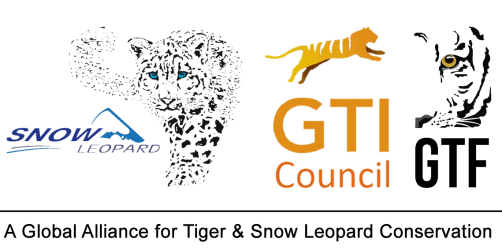 GTI Council